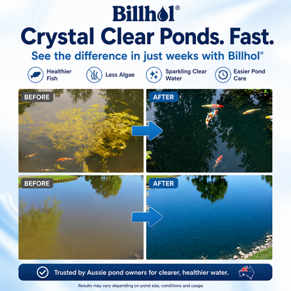 Billhol® Aqua-Sentra Pro Formula– End Algae Nightmares, Restore Your Pond’s Beauty Fast!